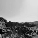 Six Organs Of Admittance - Veiled sea (LP) - Discords.nl