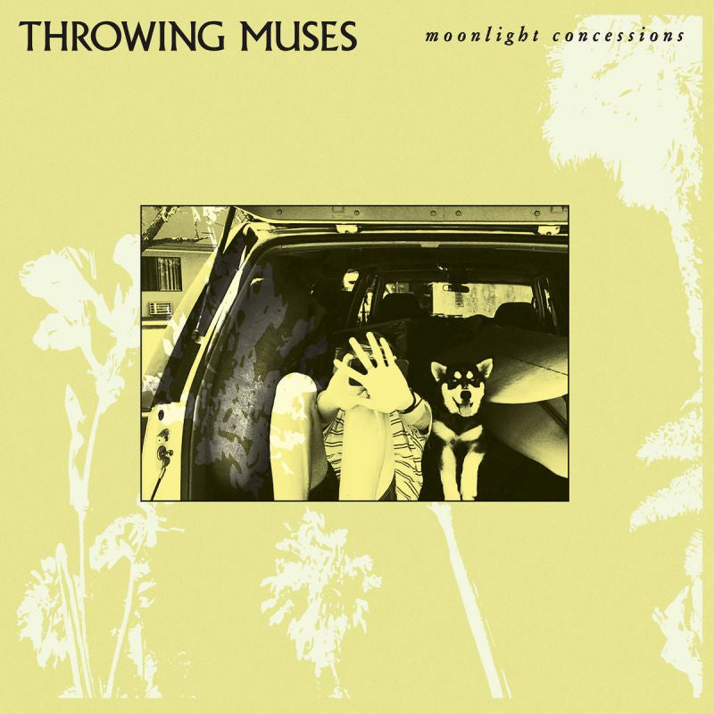 Throwing Muses - Moonlight concessions (CD)