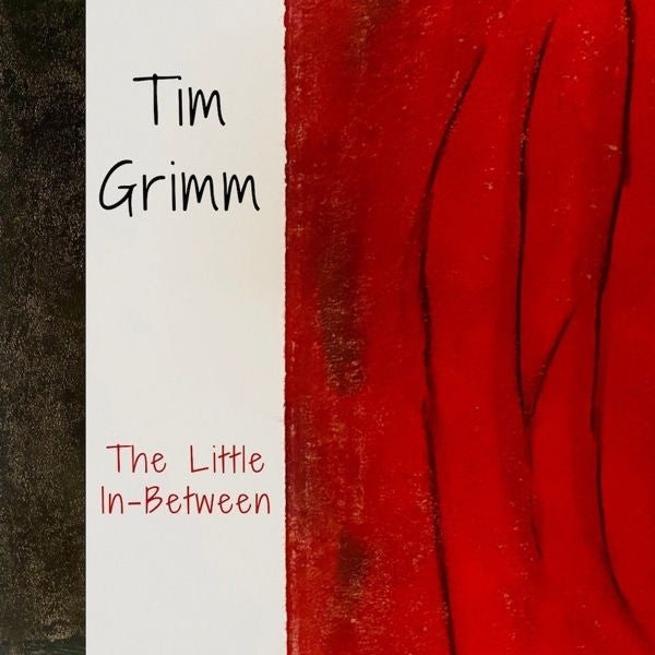 Tim Grimm - Little in-between (CD) - Discords.nl