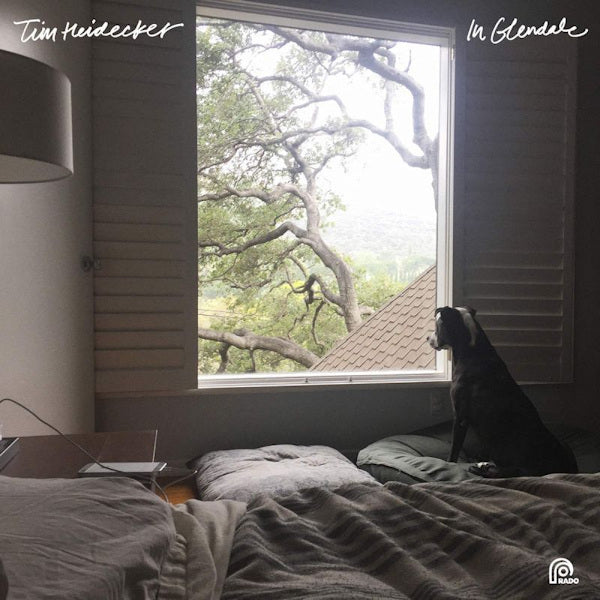 Tim Heidecker - In glendale (LP) - Discords.nl