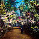 Tim Knol - Cut the wire (LP) - Discords.nl