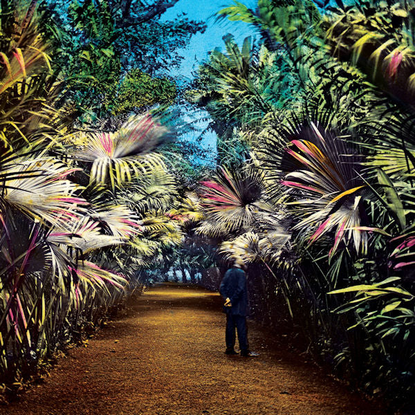 Tim Knol - Cut the wire (LP) - Discords.nl