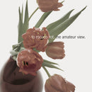 To Rococo Rot - The amateur view (LP) - Discords.nl