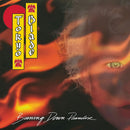 Tokyo Blade - Burning down paradise (LP)