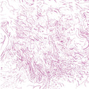 Tom Skinner - Voices of bishara (CD) - Discords.nl