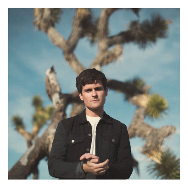 Tom Speight - Everything's waiting for you (LP) - Discords.nl