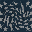 Toro Y Moi - Hole erth (LP) - Discords.nl