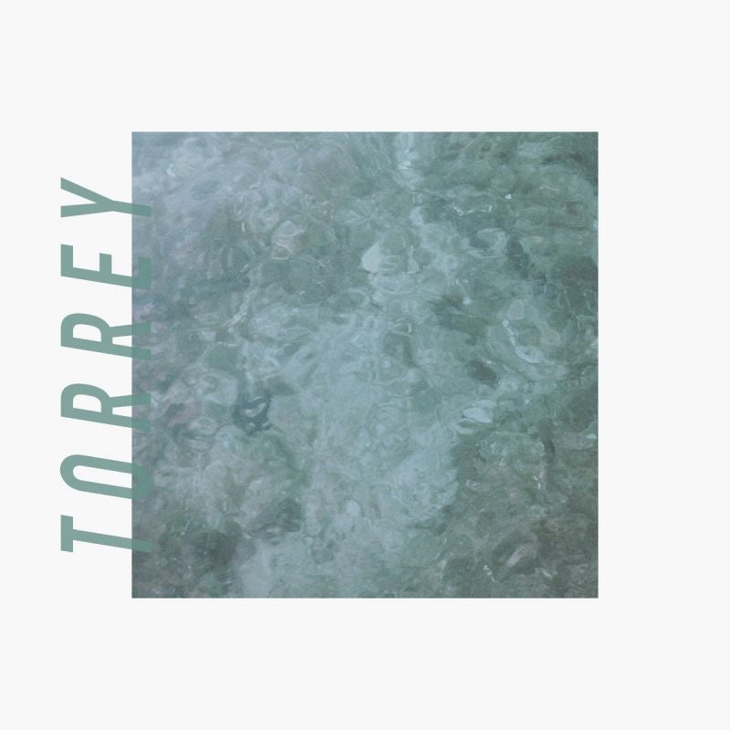 Torrey - Torrey (CD) - Discords.nl