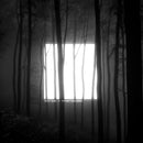 Torzs - Menedek (LP)