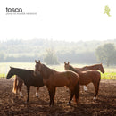 Tosca - Pony: no hassle versions (CD) - Discords.nl