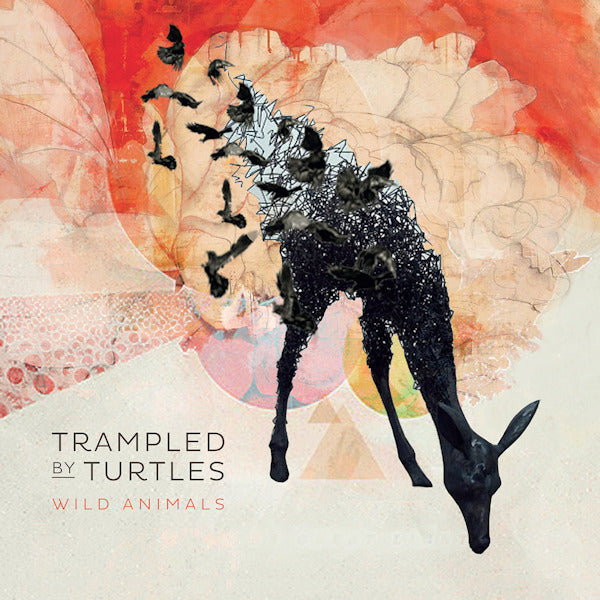 Trampled By Turtles - Wild animals (LP) - Discords.nl