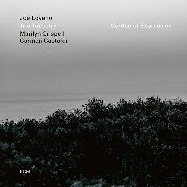 Joe Lovano -trio Tapestry- - Garden of expression (LP) - Discords.nl