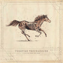 Turnpike Troubadours - A long way from your heart (LP) - Discords.nl