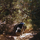 Ty Segall - Possession (LP) - Discords.nl