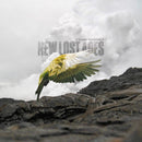 Tyler Ramsey - New lost ages (CD) - Discords.nl