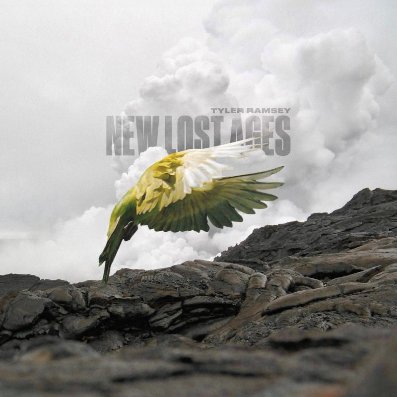 Tyler Ramsey - New lost ages (LP) - Discords.nl