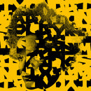 Tyondai Braxton - Splayed werks (CD)