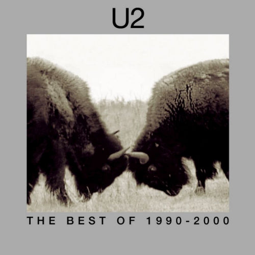 U2 - Best of 1990-2000 (LP) - Discords.nl