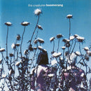 Creatures, The - Boomerang (CD Tweedehands)