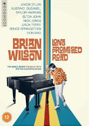 Documentary - Brian wilson: long promised road (DVD Music)