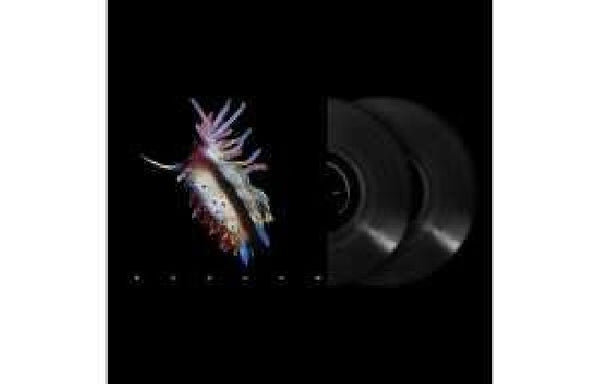 Sub Focus - Evolve (LP) - Discords.nl