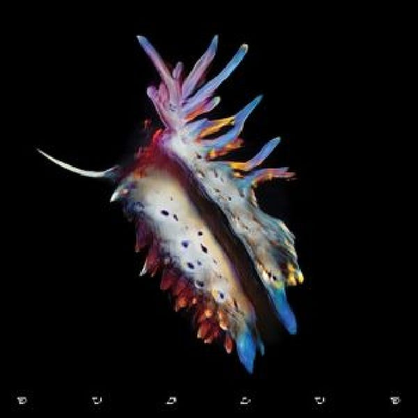 Sub Focus - Evolve (CD) - Discords.nl