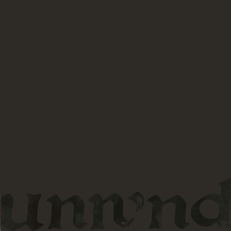 Unwound - Leaves turn inside you (LP) - Discords.nl