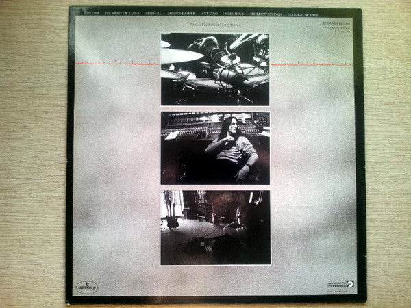 Rush - Permanent Waves (LP Tweedehands)