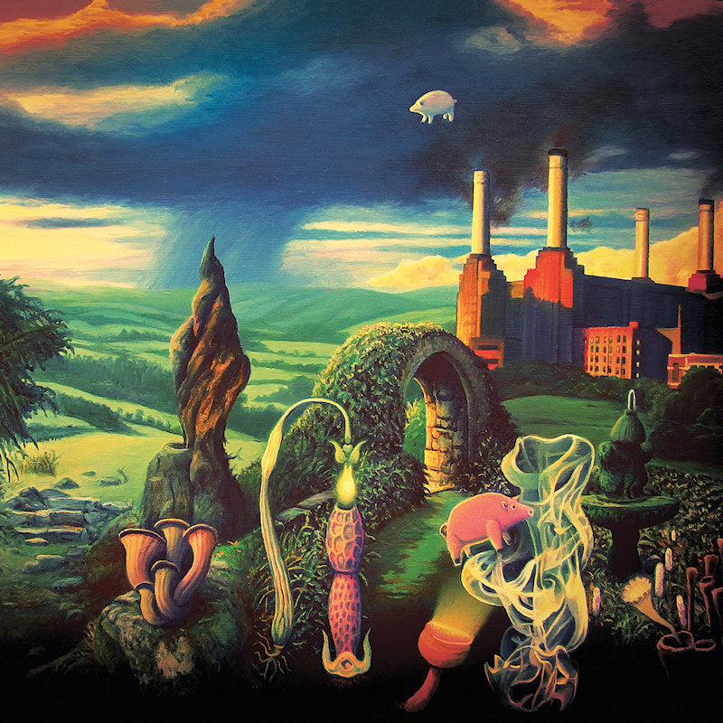 Pink Floyd - Animals reimagined: tribute to pink floyd (LP) - Discords.nl