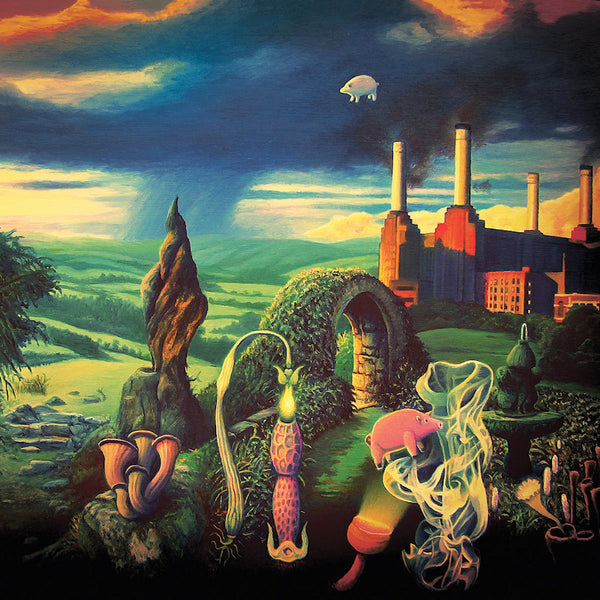 V/A (Various Artists) - Animals reimagined: a tribute to pink floyd (LP) - Discords.nl