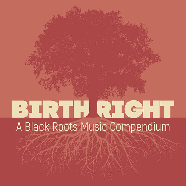 V/A (Various Artists) - Birthright: a black roots music compendium (CD) - Discords.nl