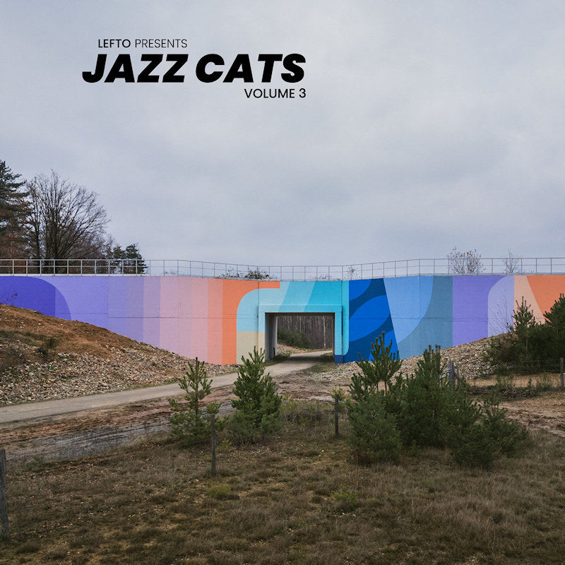 Various Artists - Lefto presents jazz cats volume 3 (LP) - Discords.nl