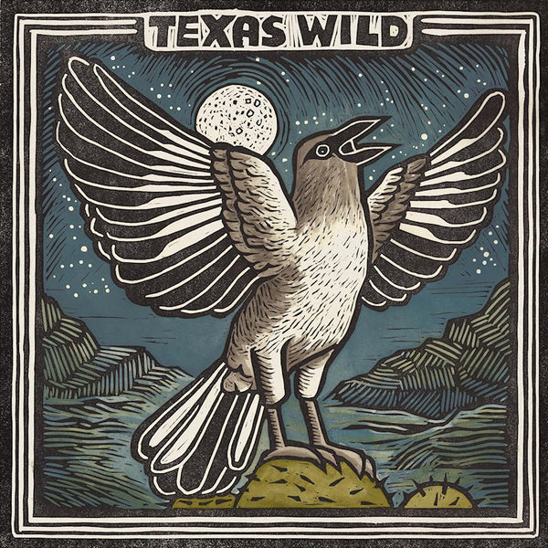 V/A (Various Artists) - Texas wild (LP) - Discords.nl