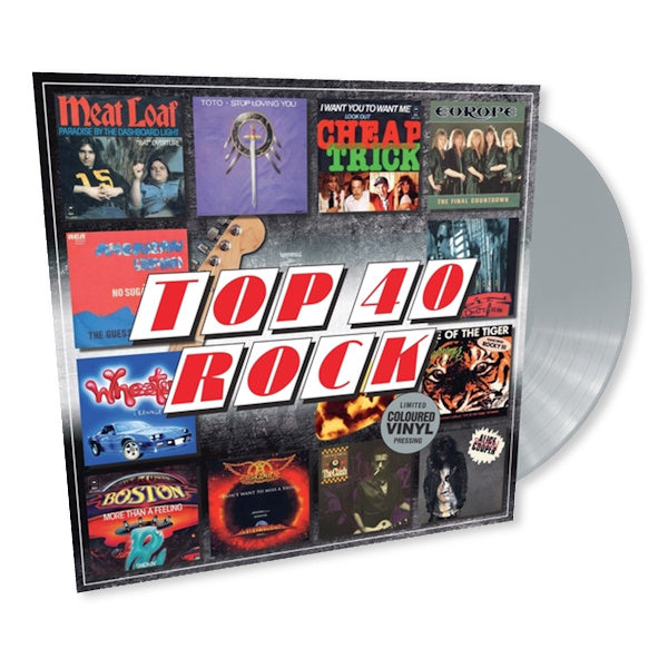 V/A (Various Artists) - Top 40 - rock (LP) - Discords.nl