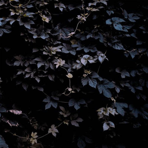 Michael Vallera - Vivid flu (LP) - Discords.nl