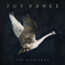 Foy Vance - Wild swan (LP) - Discords.nl