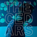 John Vanderslice - Cedars (LP) - Discords.nl