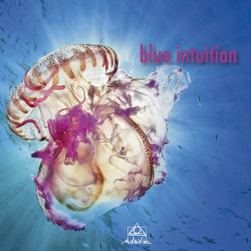 V/A (Various Artists) - Blue intuition (CD)