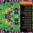 Various - Kaleidoscope (CD) - Discords.nl