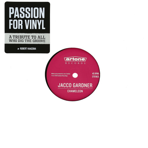 Book - Passion for vinyl (boek/drukwerk) - Discords.nl