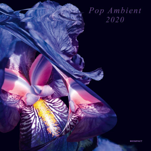 V/A (Various Artists) - Pop ambient 2020 (LP) - Discords.nl