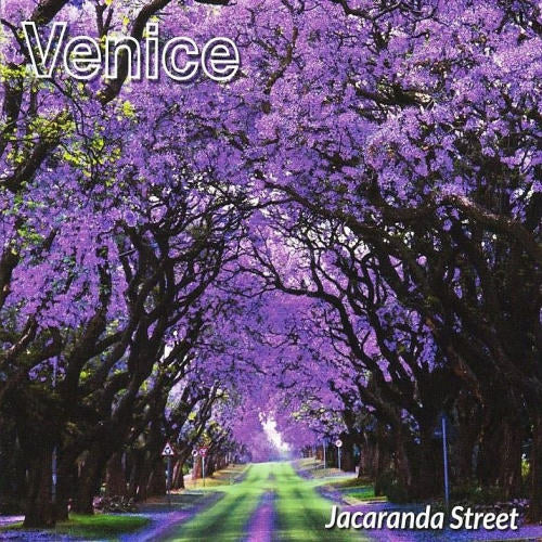 Venice - Jacaranda street (CD) - Discords.nl