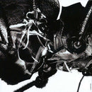 Massive Attack - Mezzanine (CD Tweedehands)
