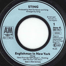 Sting - Englishman In New York (7-inch Tweedehands) - Discords.nl