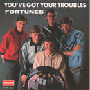 Fortunes, The - You've Got Your Troubles (CD Tweedehands)