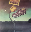 Nick Drake - Pink Moon (LP Tweedehands)