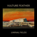Vulture Feather - Liminal fields (LP)
