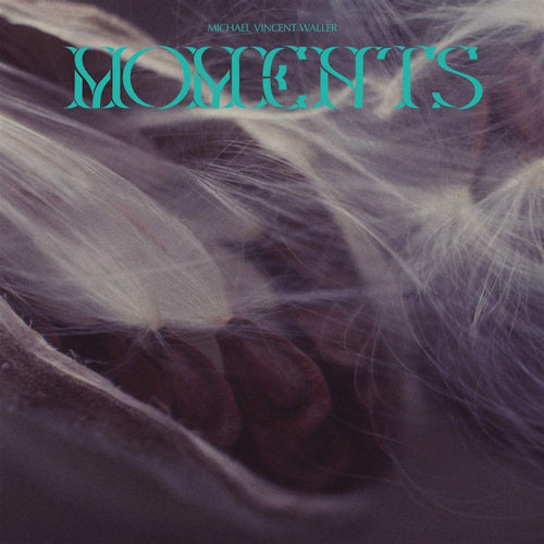 Michael Vincent Waller - Moments (LP) - Discords.nl