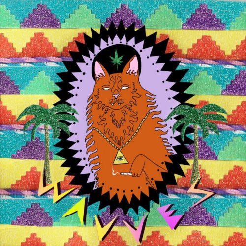 Wavves - King of the beach (LP) - Discords.nl