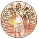 Vangelis - The Collection (CD) - Discords.nl